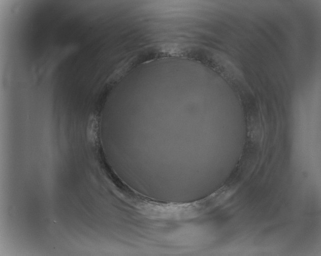 X0000073410036200608041010