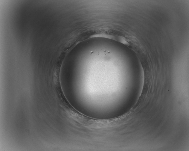 X0000073410037200608041010