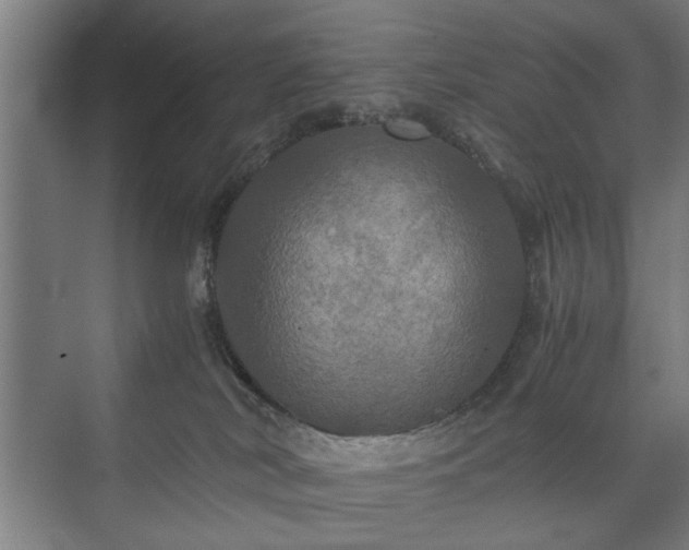 X0000073410038200608041010