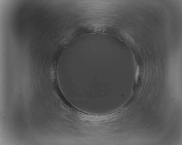 X0000073410039200608041010