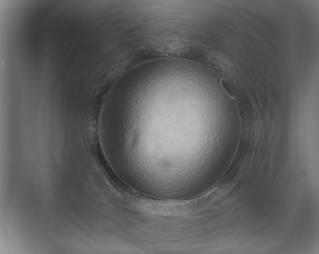 X0000073410040200608041010