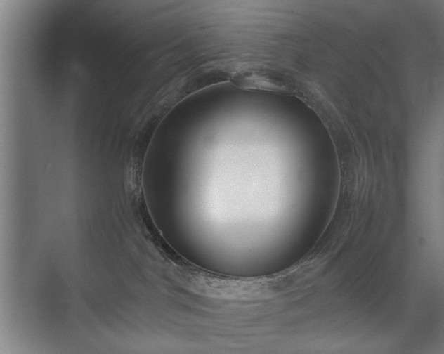 X0000073410044200608041010