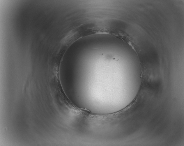 X0000073410045200608041010