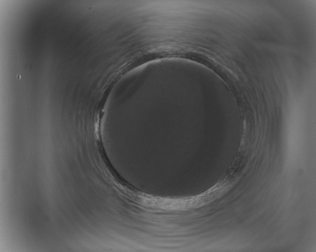 X0000073410048200608041009