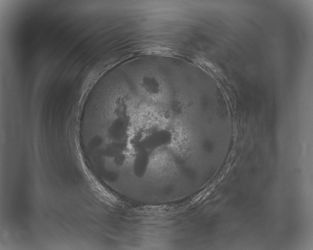 X0000073410049200608041009