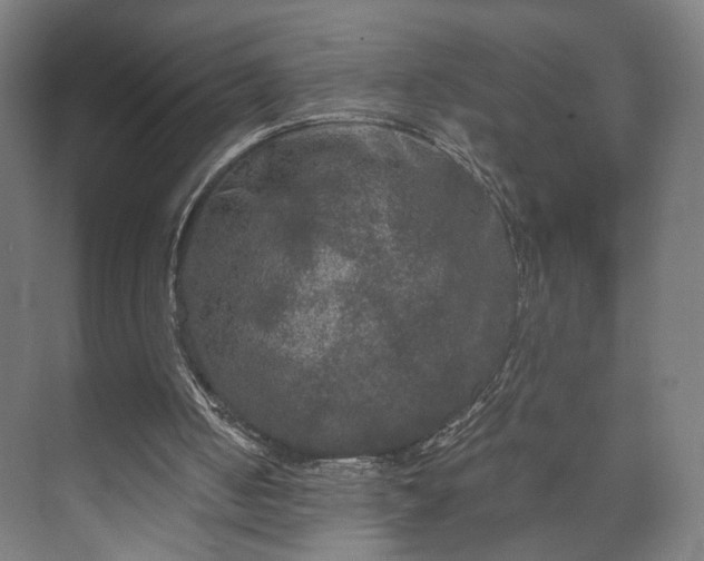 X0000073410050200608041009