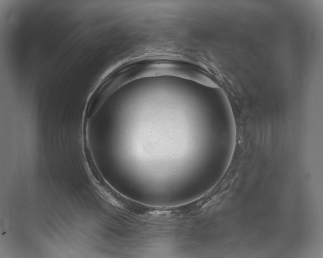 X0000073410052200608041009