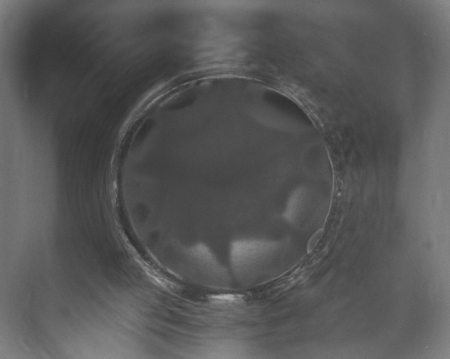 X0000073410053200608041009