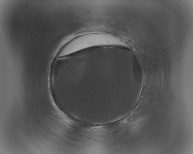 X0000073410054200608041009