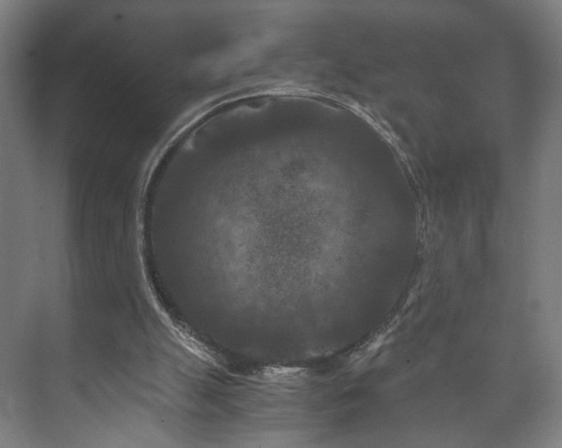 X0000073410055200608041009