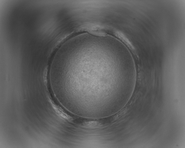 X0000073410058200608041009