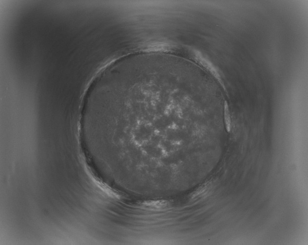 X0000073410059200608041009