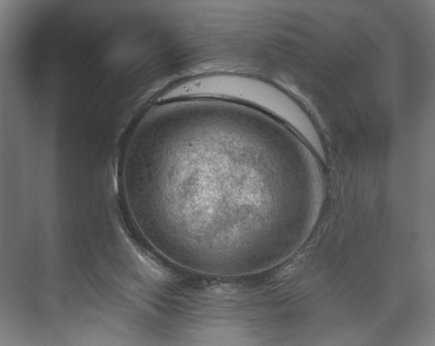 X0000073410062200608041009