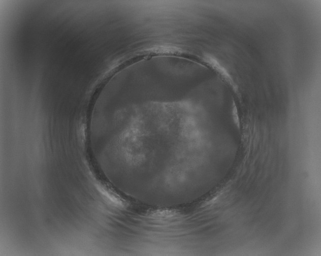 X0000073410063200608041009