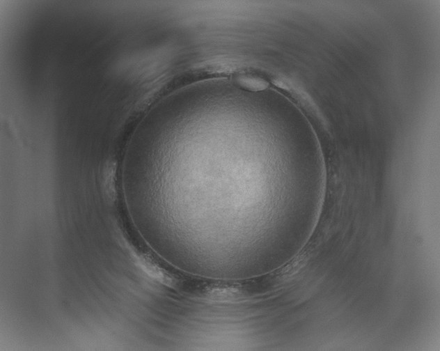 X0000073410066200608041009