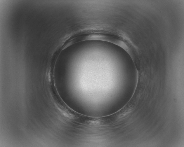 X0000073410068200608041009