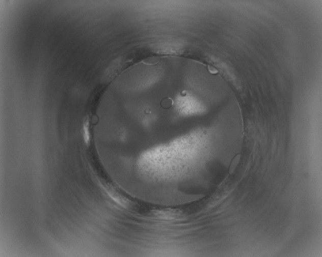 X0000073410069200608041009