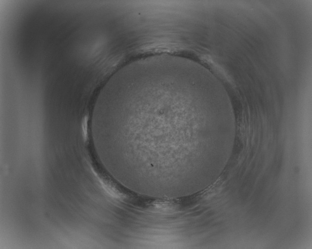 X0000073410070200608041009