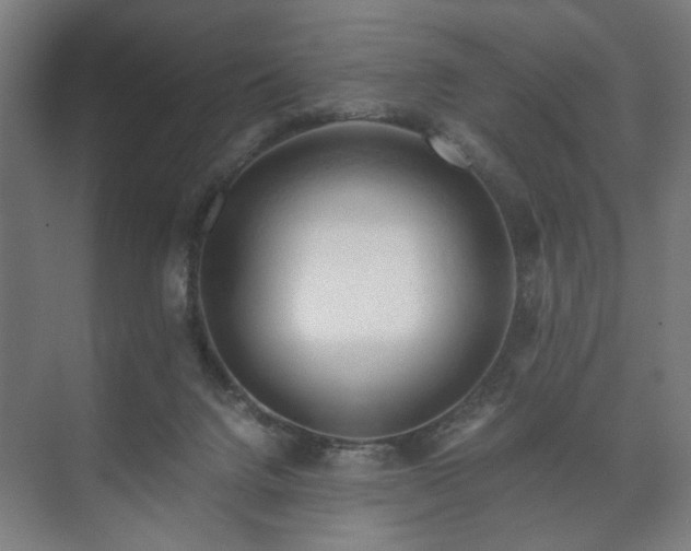 X0000073410072200608041009