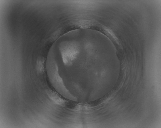 X0000073410073200608041009