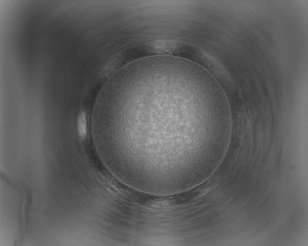 X0000073410075200608041009