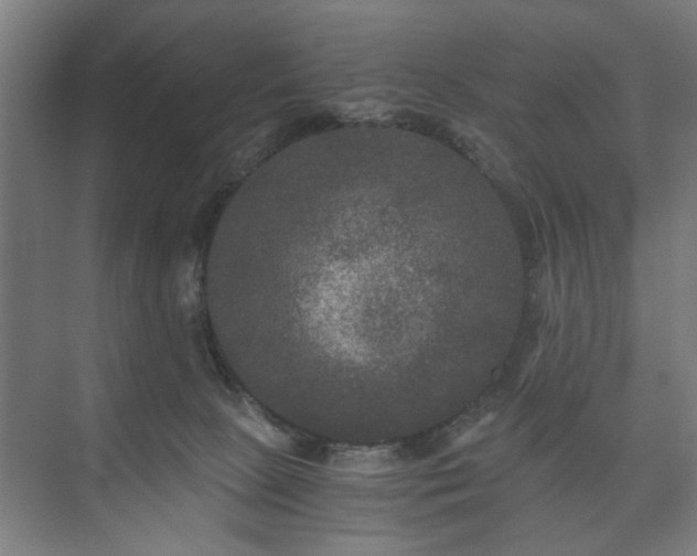 X0000073410081200608041009