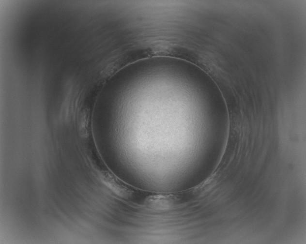 X0000073410082200608041009