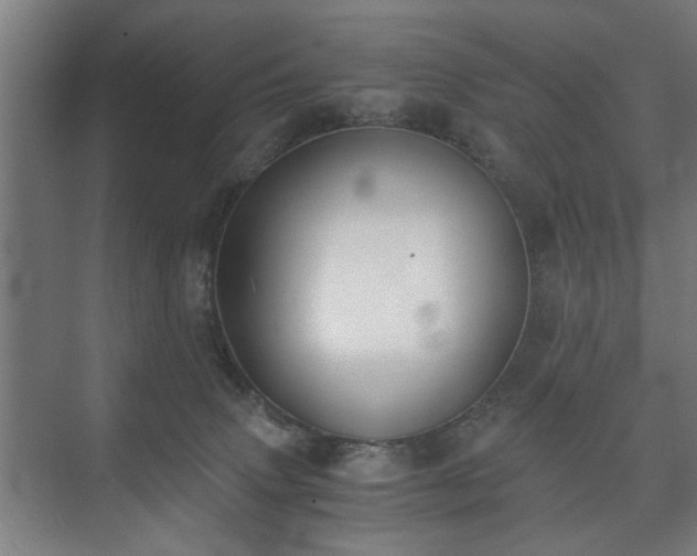 X0000073410083200608041009