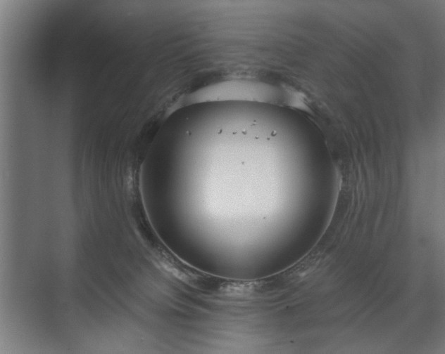 X0000073410084200608041009