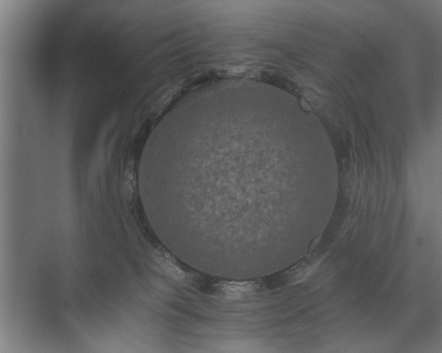 X0000073410085200608041009