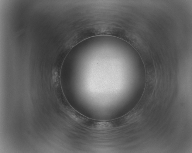 X0000073410087200608041009