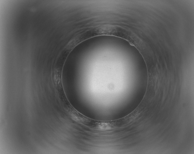 X0000073410091200608041009