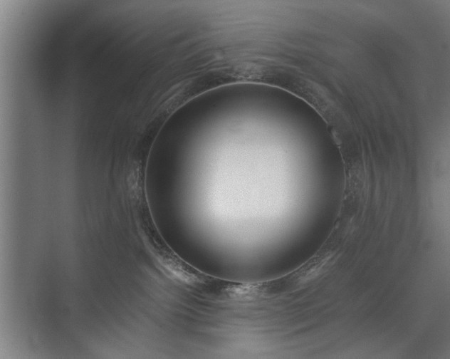 X0000073410092200608041009