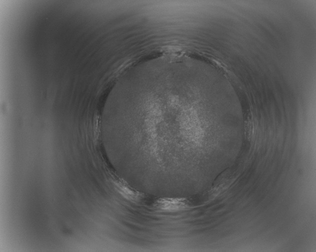 X0000073410093200608041009