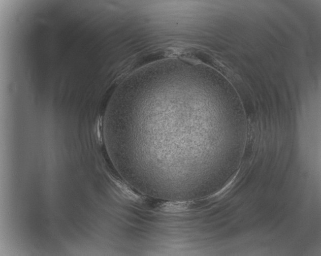 X0000073410094200608041009