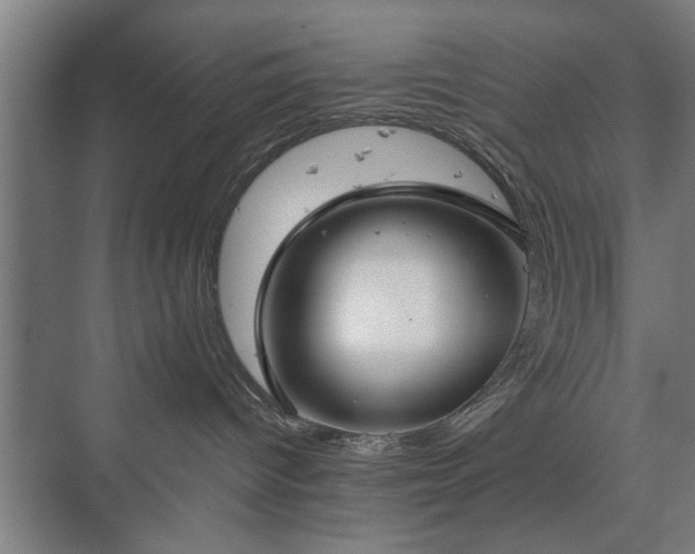 X0000073410096200608041009