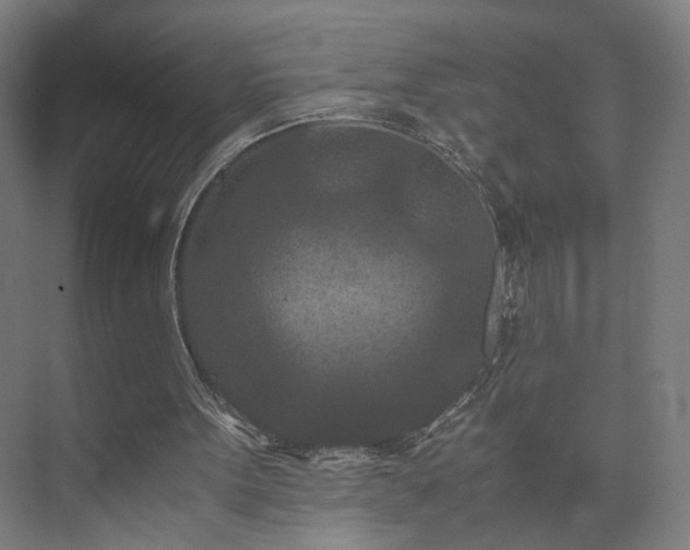 X0000073410099200608041009