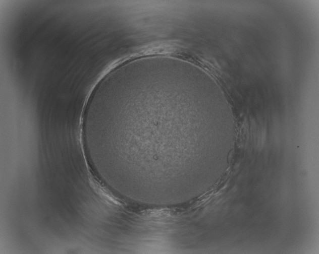 X0000073410100200608041009