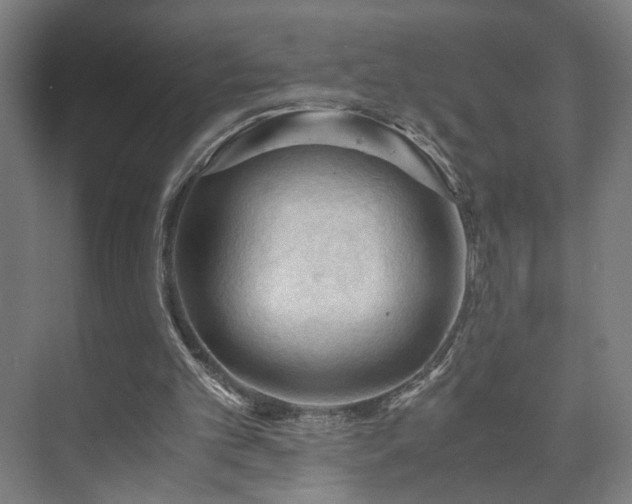 X0000073410101200608041009