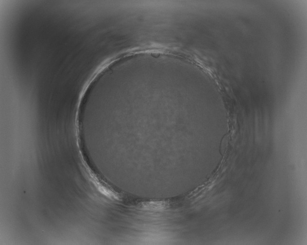 X0000073410102200608041009