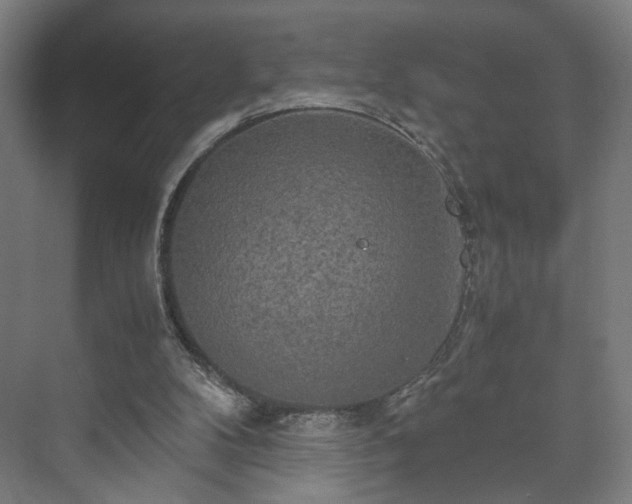 X0000073410104200608041009