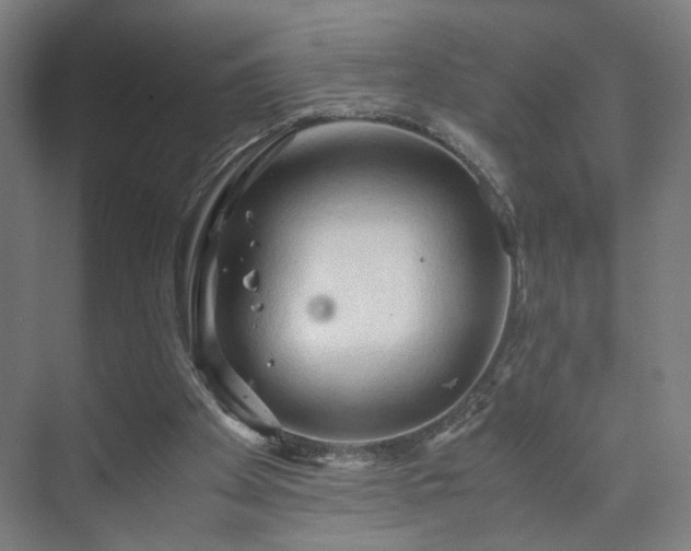 X0000073410105200608041009