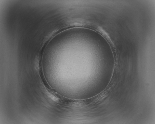 X0000073410106200608041009