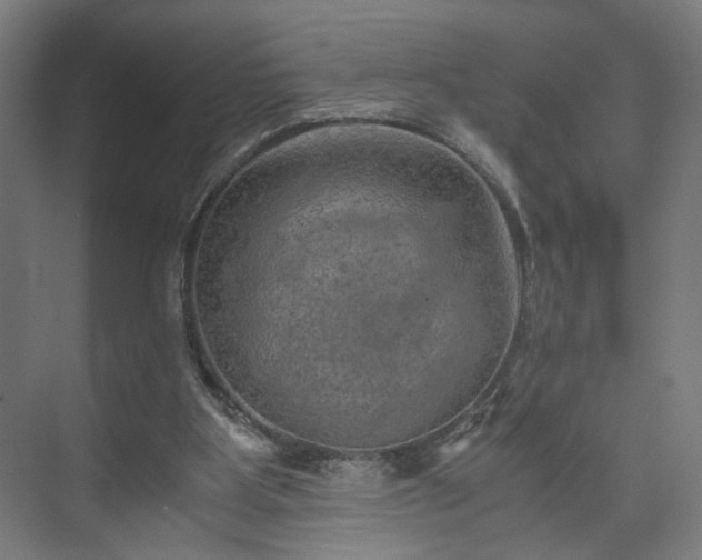 X0000073410107200608041008