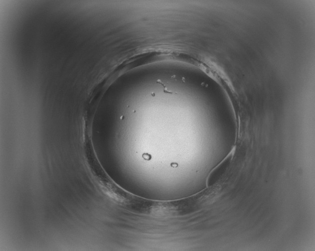 X0000073410109200608041008