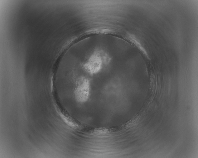 X0000073410110200608041008