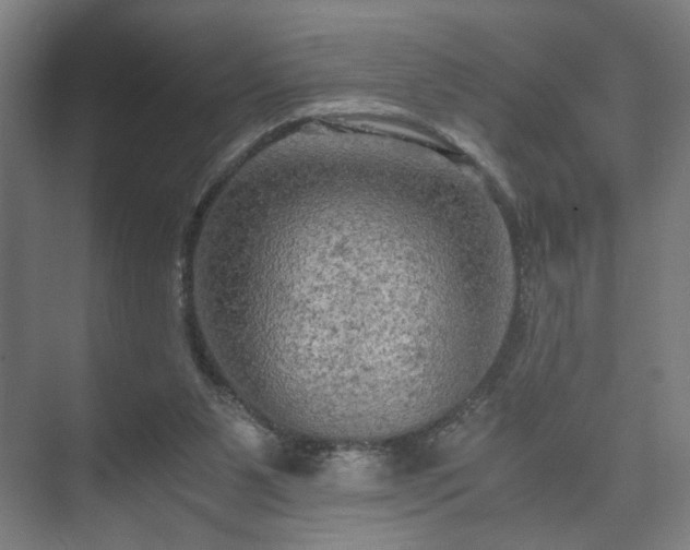 X0000073410111200608041008