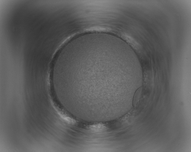 X0000073410112200608041008