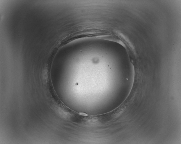 X0000073410113200608041008