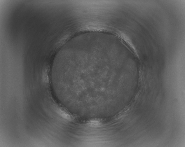 X0000073410114200608041008